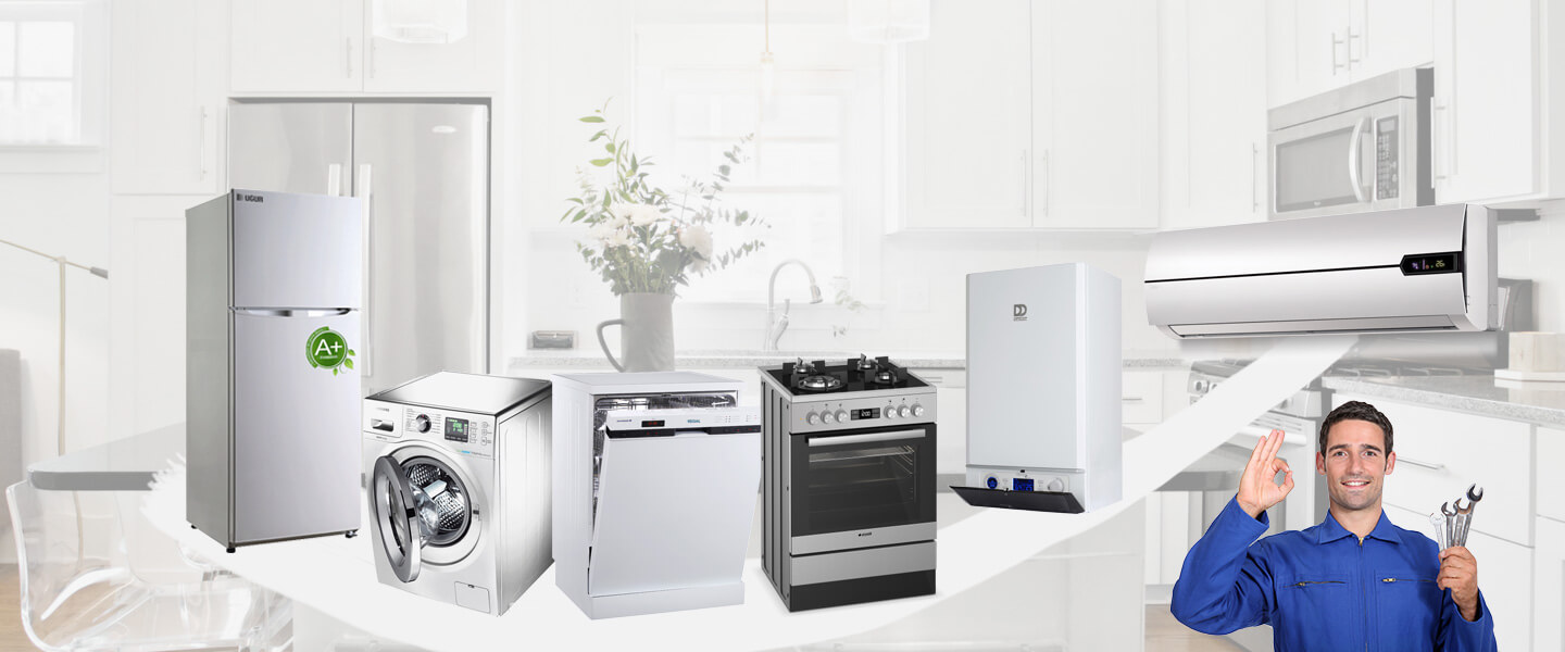 Ahmetli Electrolux Servisi